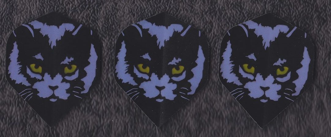 Katzeblau3