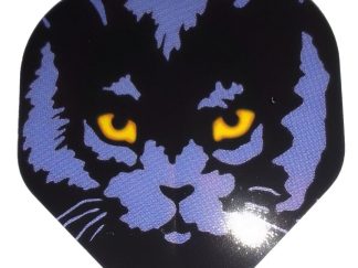 SchwarzeKatze1