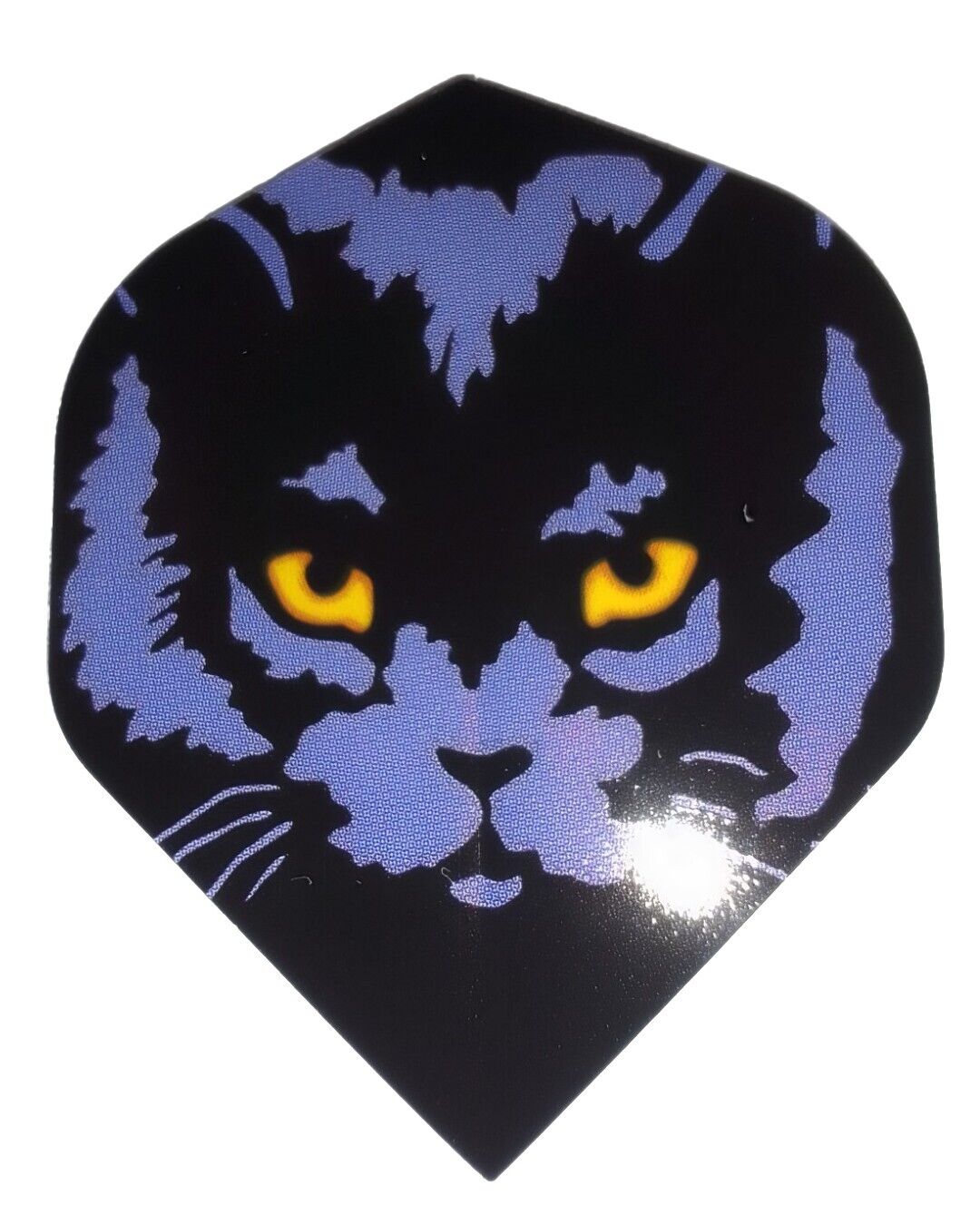 SchwarzeKatze1