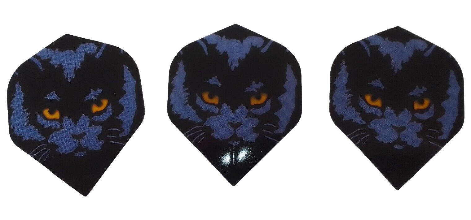 SchwarzeKatze2