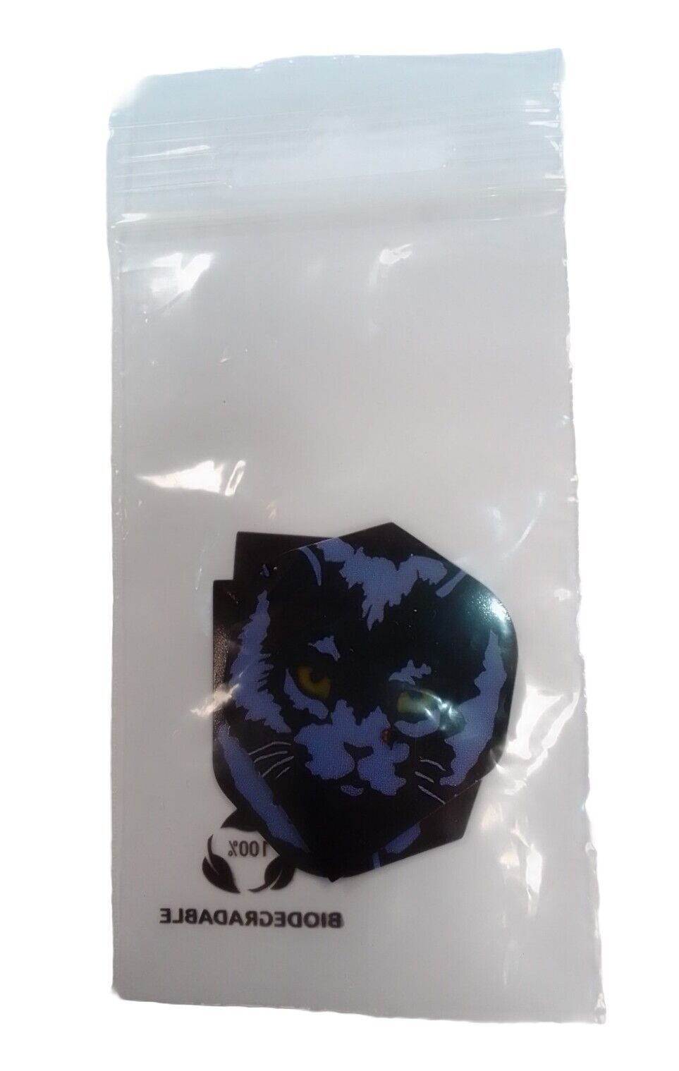 SchwarzeKatze3
