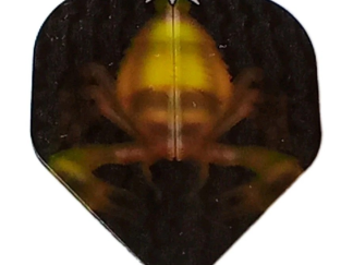 ScorpionMission1