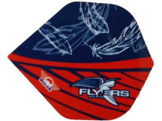 Richard Veenstra - Flyers2